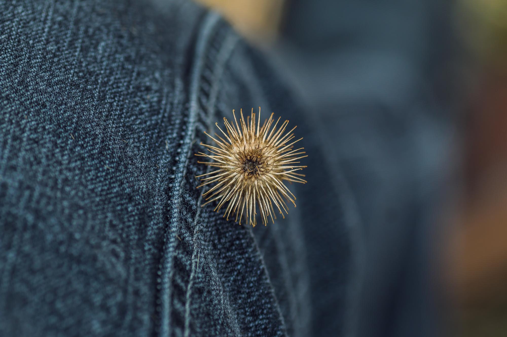 Detail of embroidered jacket cuff